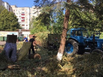 Поддержка детского сада в Курске