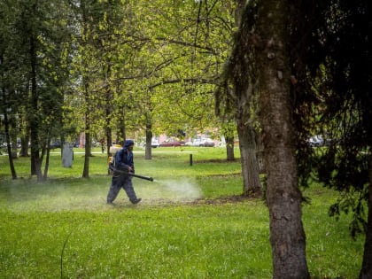В 2024 году 1386 курян обратились в больницу с жалобами на укусы клещей
