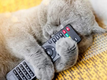 В октябре на объектах филиала «Курский ОРТПЦ» запланированы профилактические работы с кратковременным отключением вещания 20 цифровых эфирных телеканалов и FM-радиостанций