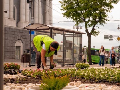 На центральной улице Курска высадят 32 тысячи бегоний