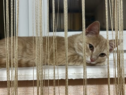 Что делать, если батареи в вашем доме остались холодными после подключения отопления?