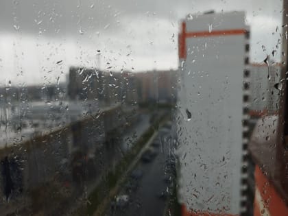 В ночь с 21 на 22 июля в Курске ожидается 18 градусов тепла