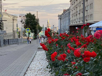 Куряне, страдающие от алкогольной и наркотической зависимости, могут получить сертификаты на лечение