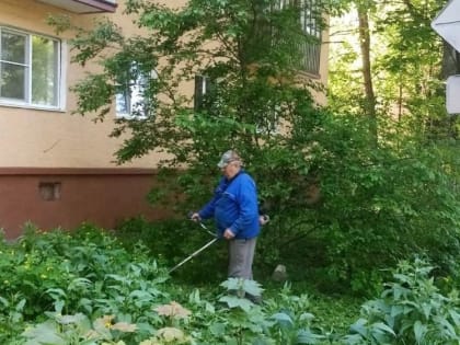 На прошлой неделе в Курске специалисты проверили состояние порядка 50 дворов