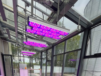 Губернатор посетил семеноводческий центр