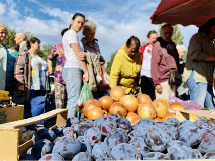 21 октября в Курске пройдёт заключительная сельхозярмарка «Осень-2023»