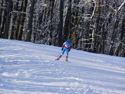 На Рождественской лыжной гонке куряне завоевали 9 золотых медалей