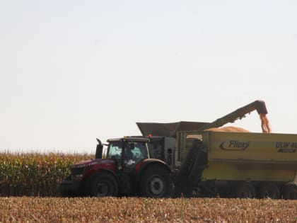 В Курской области завершается осенняя уборочная кампания