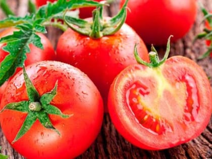 В Курской области в семенах томата из Италии обнаружили карантинный объект