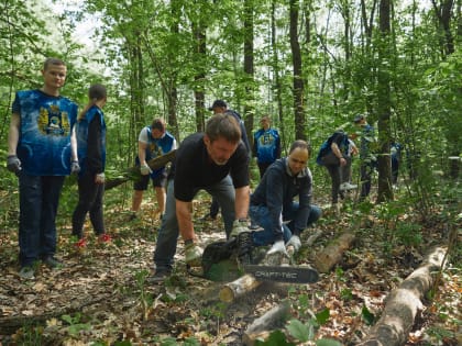 27 мая курян приглашают помочь заготовить дрова для участников СВО