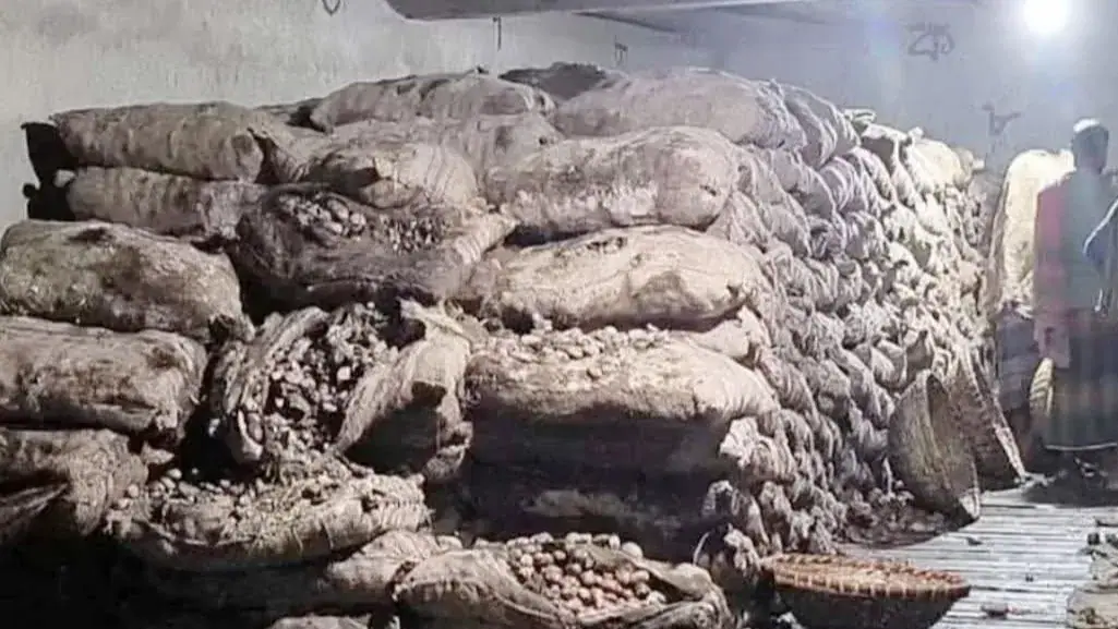 কোল্ড স্টোরেজে মজুদ করে রাখা প্রায় ৩ কোটি টাকার আলু পচে নষ্ট