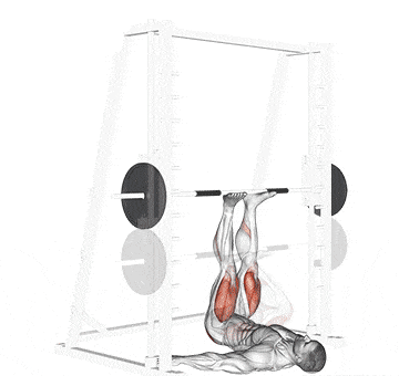 Smith Machine Leg Press Gif