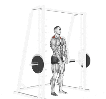 Smith Machine Shrug Gif