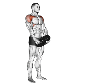 Weight plate front raise Gif