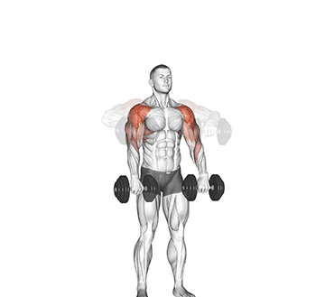 Cuban Dumbbell Press Gif