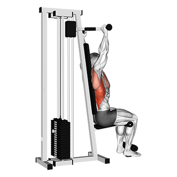 Lever Cable Rear Pulldown Gif