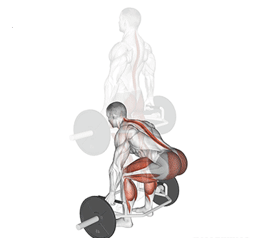  Trap Bar Jump Squat Gif