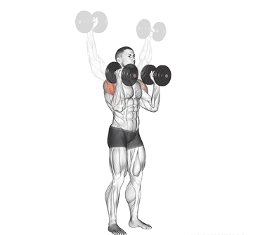 Dumbbell W Press Gif