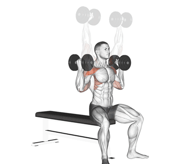 Half Arnold Press Gif