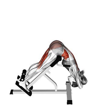 Twisting Hyperextension Gif