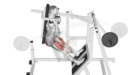 Pendulum Squat Gif