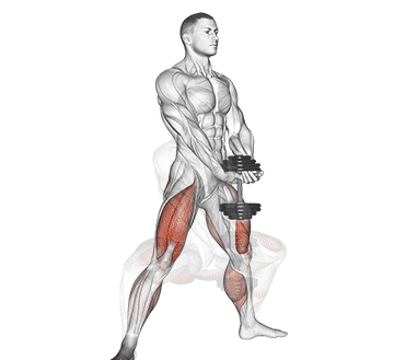 Plie Dumbell Squat Gif