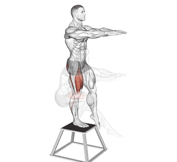 Box Pistol Squat Gif