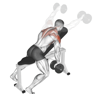Incline Dumbbell Y Raise Gif