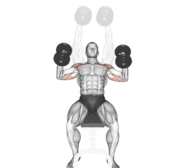 Incline Dumbbell Hammer Press Gif