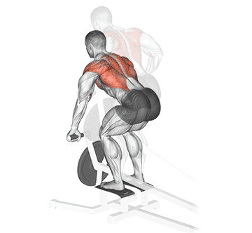 Lever T-Bar Row Gif