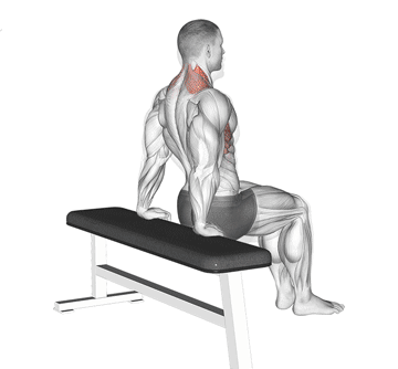 Scapula Dips Gif