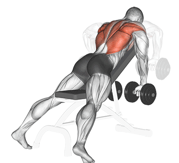 45 Degree Incline Row Gif