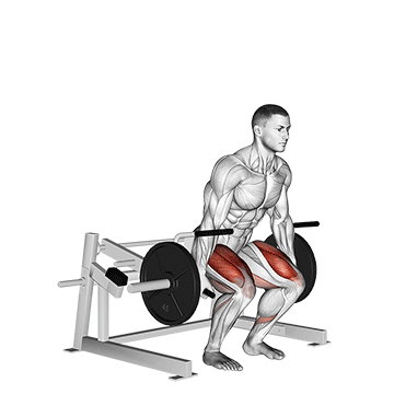 Lever Deadlift Gif
