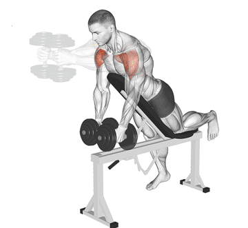 Chest Supported Dumbbell Front Raise Gif