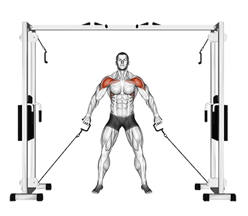 Double Cable Front Raise Gif