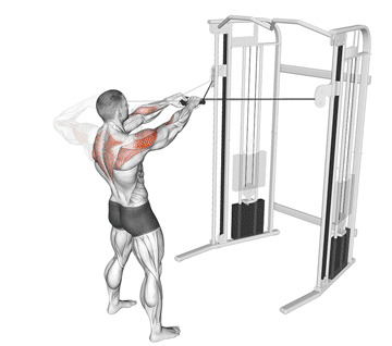 Cross Cable Face Pull Gif