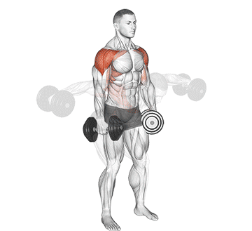 Dumbbell 4 Way Lateral Raise Gif