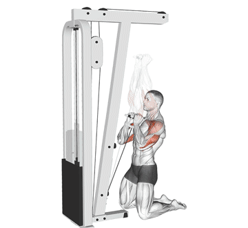 Kneeling Cable Shoulder Press Gif