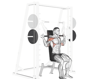 Smith Machine Shoulder Press Gif