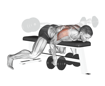 Dumbbell Lying Rear Lateral Raise Gif