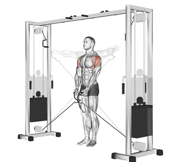 2 Arm Cable Lateral Raise Gif