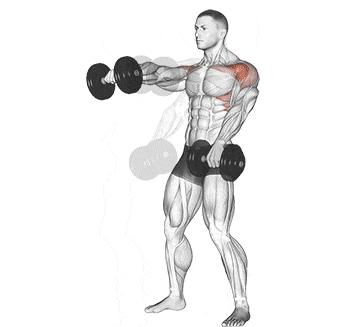 Alternating Dumbbell Front Raise Gif