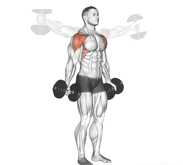 Dumbbell Scaption Raise Gif