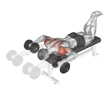 Lying Shoulder Press Gif