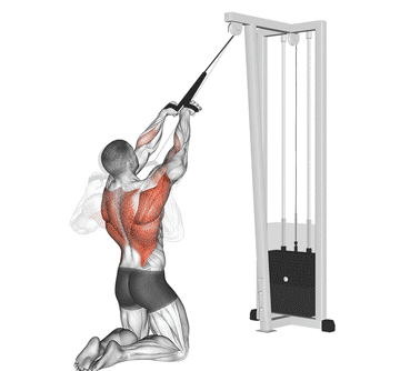 Kneeling High Pulley Row Gif
