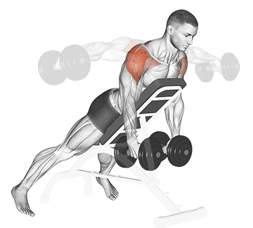 Incline Dumbbell Reverse Fly Gif