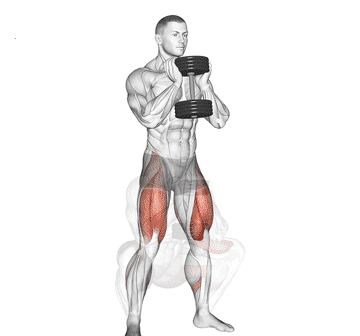 Dumbbell Goblet Squat Gif