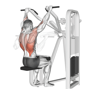 Lever Front Pulldown Gif