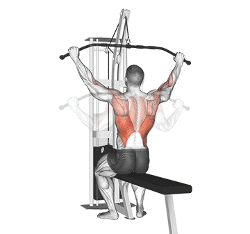 Lat Pulldown Gif