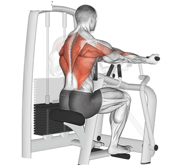 Reverse Grip Machine Row Gif